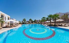 أمفوراس بلو